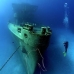 wreck_kittiwake_gc_v_0098_cay3522.jpg